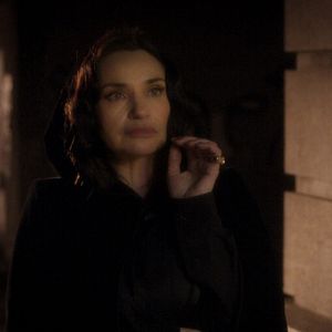 Bilder Das Tier im Dschungel