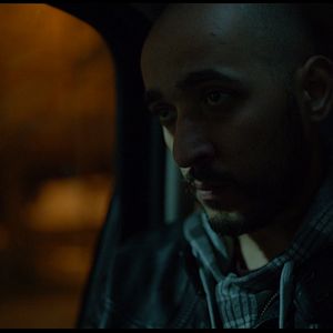 Bilder Animals - Wie wilde Tiere