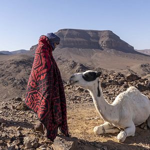 Bilder Prinzen der Wüste - Schneller als der Wind