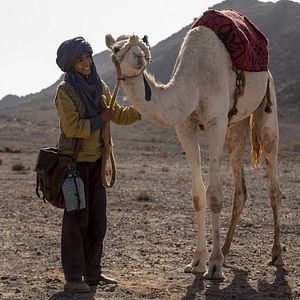 Bilder Prinzen der Wüste - Schneller als der Wind