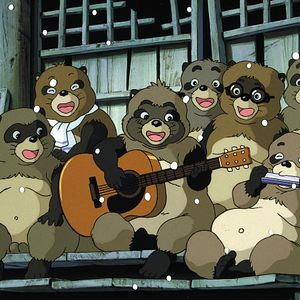 Bilder Pom Poko