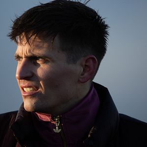 Bilder Straßenköter