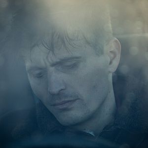 Bilder Straßenköter