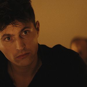 Bilder Straßenköter