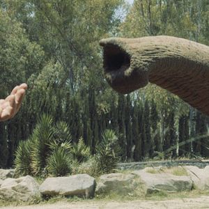 Bilder Unutma Biçimleri