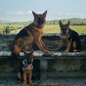 Bilder Gunthers Millionen