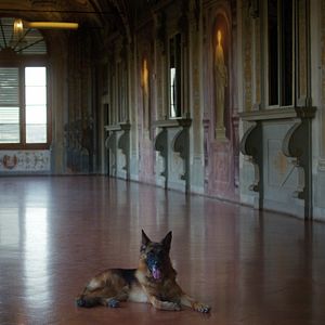 Bilder Gunthers Millionen