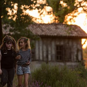 Bilder Dieser eine Sommer