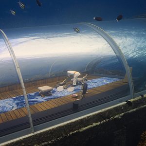 Bilder Urlaub wider Willen mit Eugene Levy