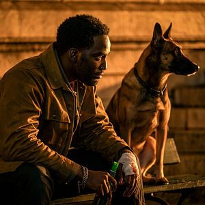 Bilder Shamier Anderson