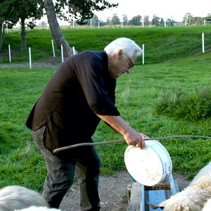 Bilder Der Illusionist