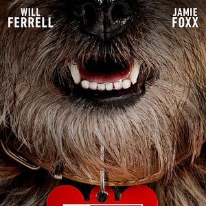 Bilder Doggy Style: Dieser Sommer kommt von hinten