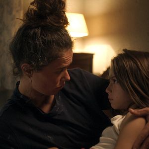 Bilder 20.000 Arten von Bienen