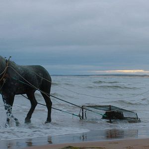 Bilder A Small Fortune - Ein kleines Vermögen