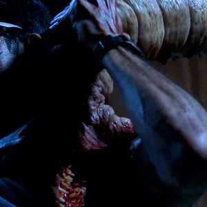 Bilder Crawlers - Angriff der Killerwürmer