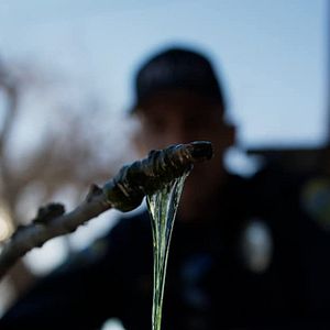 Bilder Crawlers - Angriff der Killerwürmer