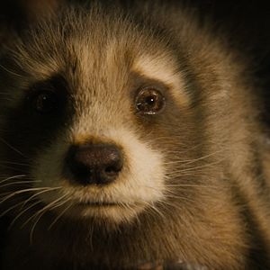 Bilder Guardians Of The Galaxy Volume 3