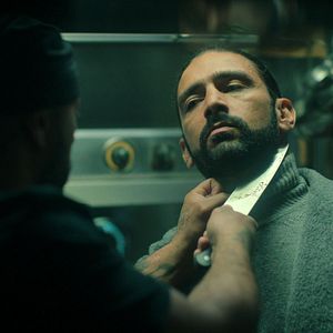 Bilder Im Auge des Wolfes