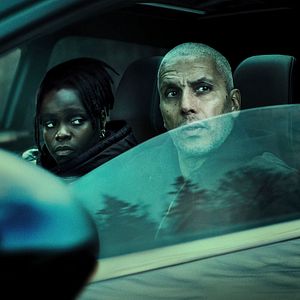 Bilder Im Auge des Wolfes