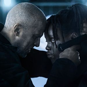 Bilder Im Auge des Wolfes