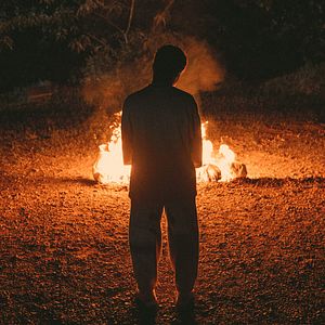 Bilder Bienenschwarm