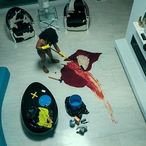 Bilder Bienenschwarm