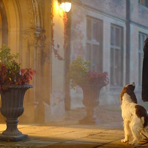 Bilder The Eternal Daughter