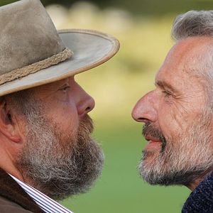 Bilder Die einfachen Dinge