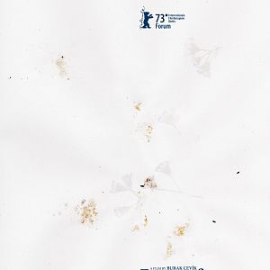 Bilder Unutma Biçimleri