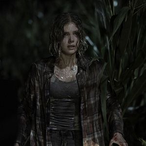 Bilder Elena Kampouris