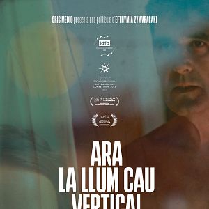 Bilder Ara la llum cau vertical