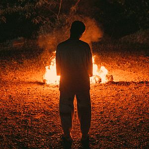 Bilder Bienenschwarm