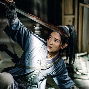 Bilder Donnie Yen's Sakra