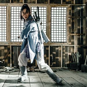 Bilder Donnie Yen's Sakra