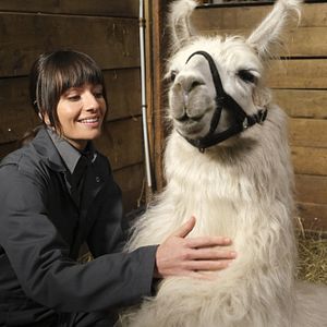 Bilder Animal Control