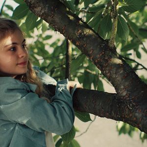 Bilder Himbeeren mit Senf