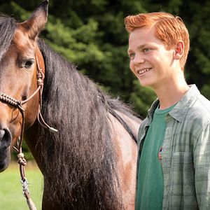 Bilder Franz Krause (II)