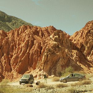 Bilder Die Spur der Knochen