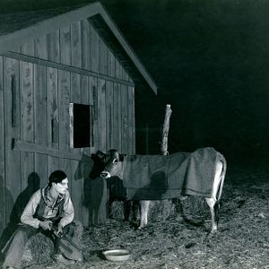 Bilder Buster Keaton-Der Cowboy