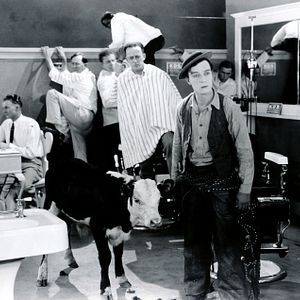 Bilder Buster Keaton-Der Cowboy