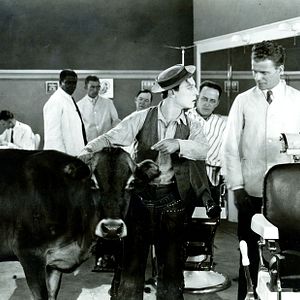 Bilder Buster Keaton-Der Cowboy