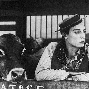 Bilder Buster Keaton-Der Cowboy