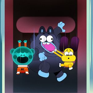 Bilder Wo ist Frauchen?