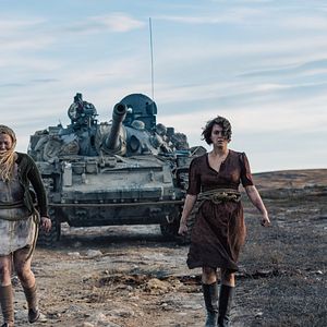 Bilder Mimosa Willamo