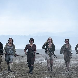 Bilder Mimosa Willamo