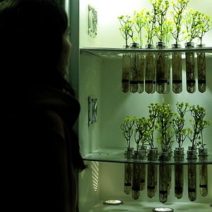 Bilder Trenque Lauquen Teil 2