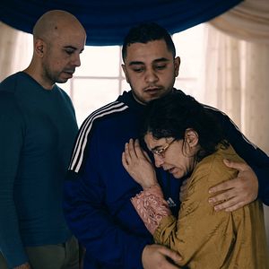 Bilder The Love - Lass die Liebe sprechen