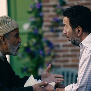 Bilder The Love - Lass die Liebe sprechen