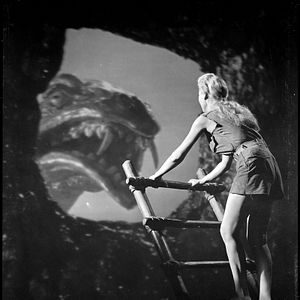 Bilder Shirley Patterson