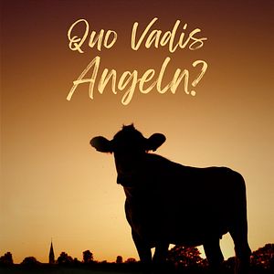 Bilder Quo Vadis Angeln?